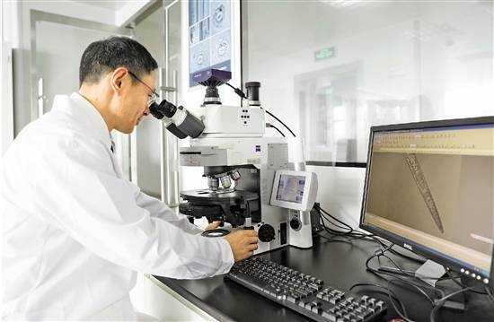 人工智能赋能国门生物安全 宁波海关上线松材线虫智能识别软件